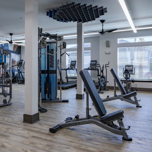 Gym with Free Weights